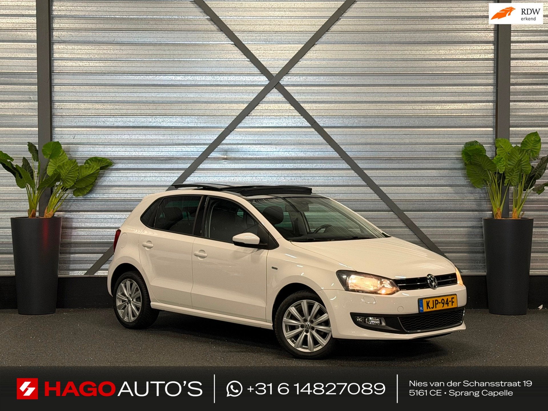 Volkswagen Polo 1.2 Life 1E-EIG/PANO/CRUISE/CLIMATE/STOELVER, Voorwielaandrijving, Stof, Gebruikt, 4 cilinders