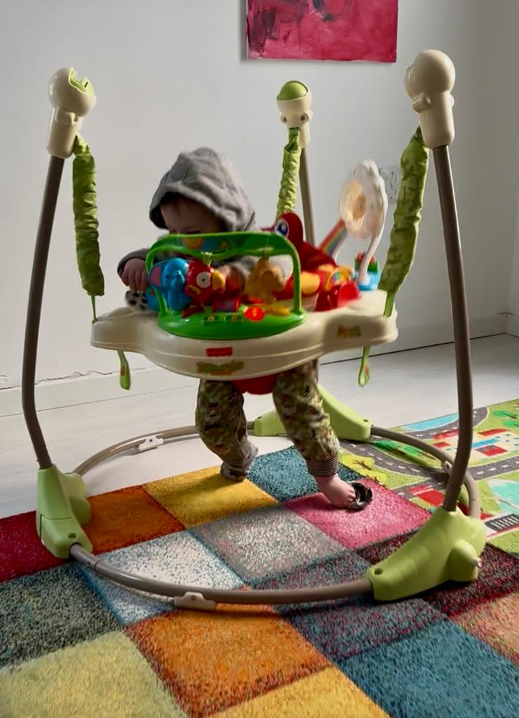 Fisher Price bouncer jumper, Ophalen, Gebruikt, Overige typen
