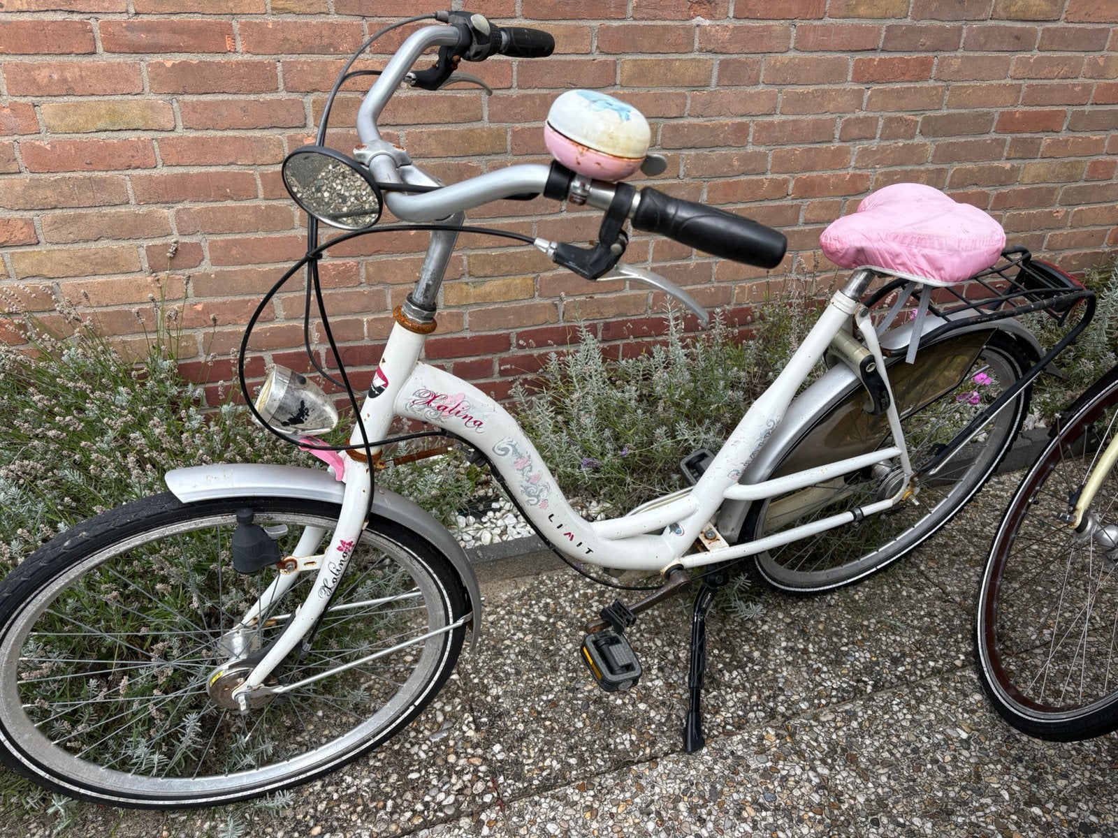 Kalina Limit moederfiets (sluitels kwijt), Fietsen en Brommers, Ophalen, 2 zitjes, Gebruikt, Overige merken