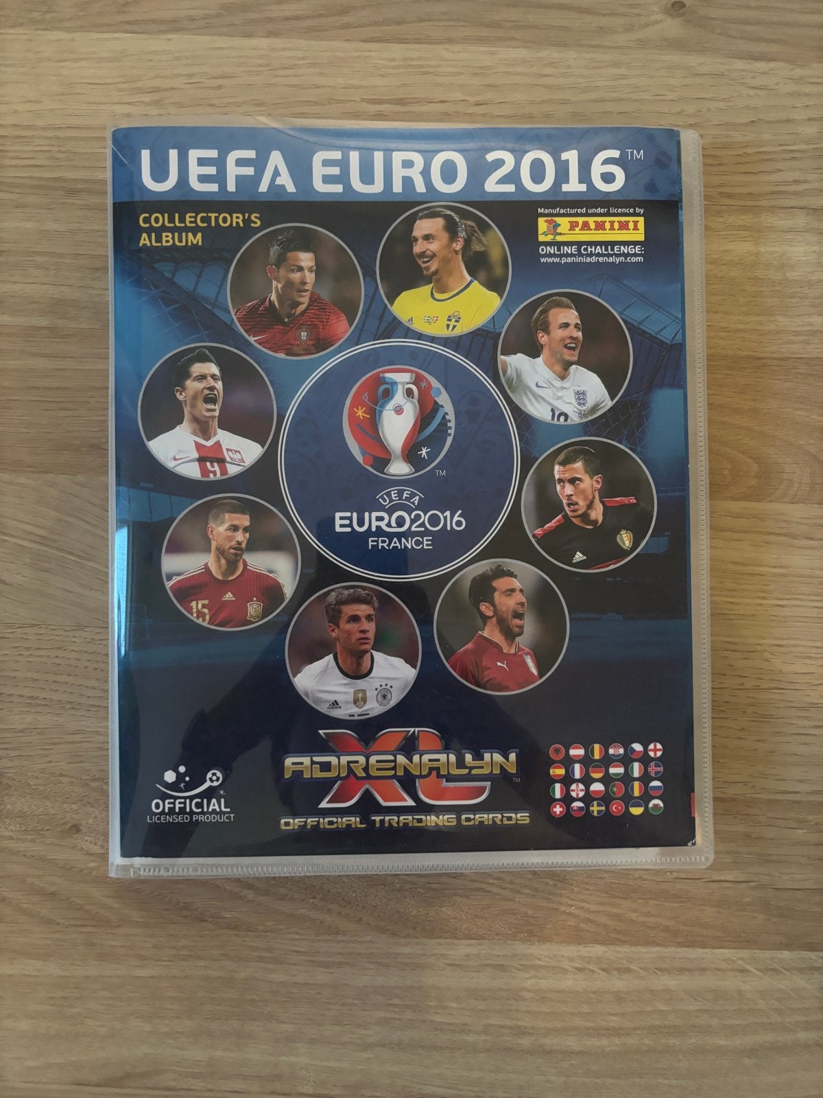 Panini Euro 2016 Verzamelalbum - Bijna Compleet, Verzamelen, Sportartikelen en Voetbal, Ophalen of Verzenden, Zo goed als nieuw
