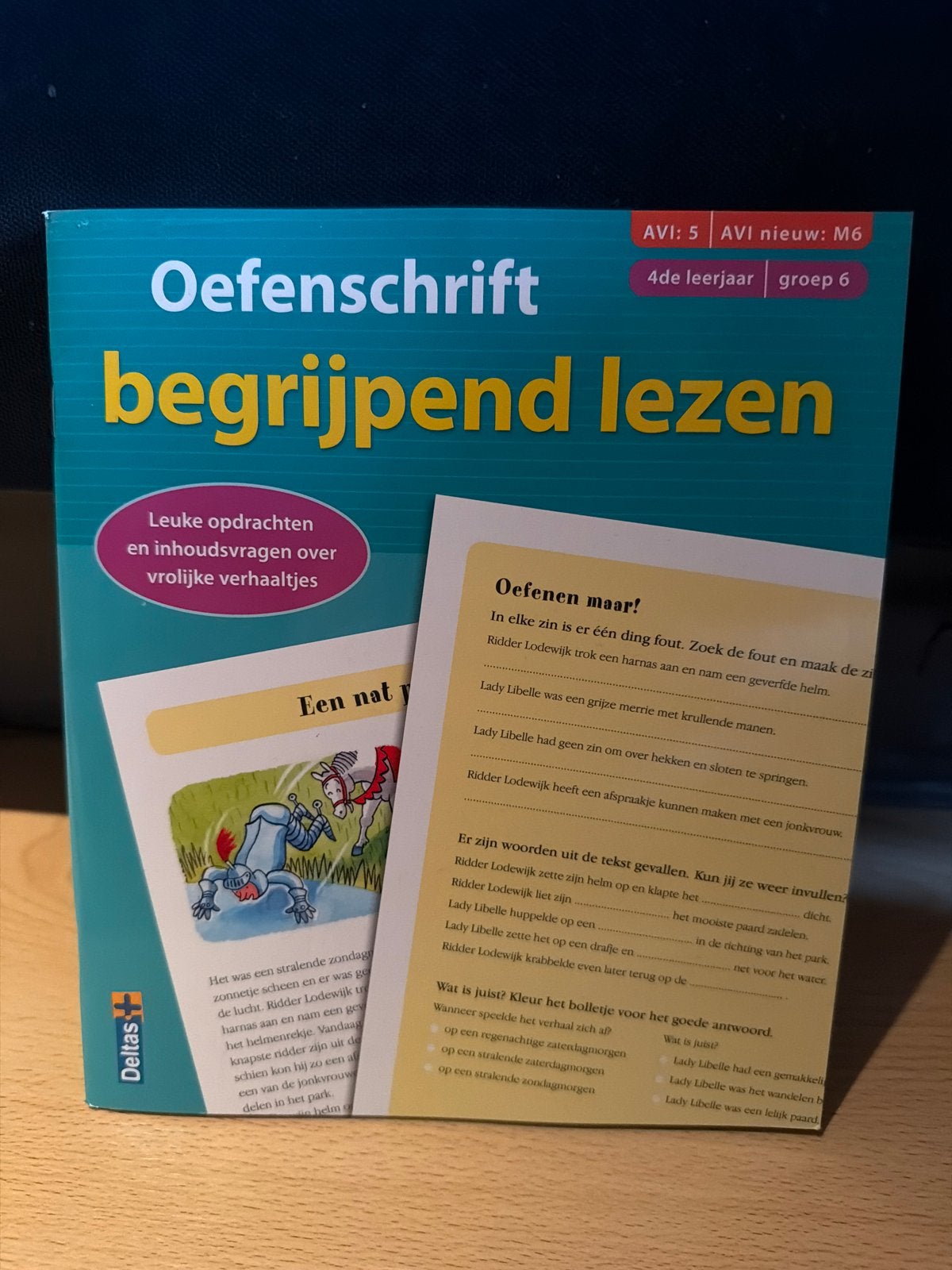 Oefenschrift begrijpend lezen AVI 5 / groep 6, Boeken, Ophalen of Verzenden, Zo goed als nieuw, Overige niveaus, Nederlands