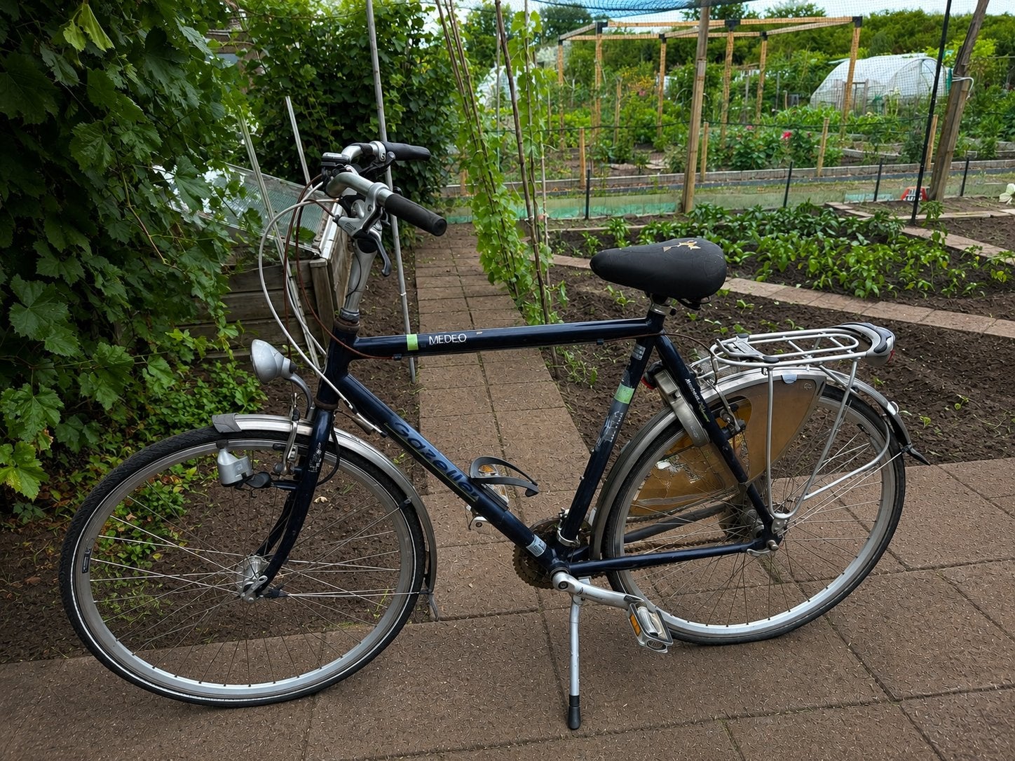 Gazelle Medeo Damesfiets - Gebruikt, Fietsen en Brommers, Fietsen | Heren | Herenfietsen, Gebruikt, Velgrem, Versnellingen, Ophalen of Verzenden