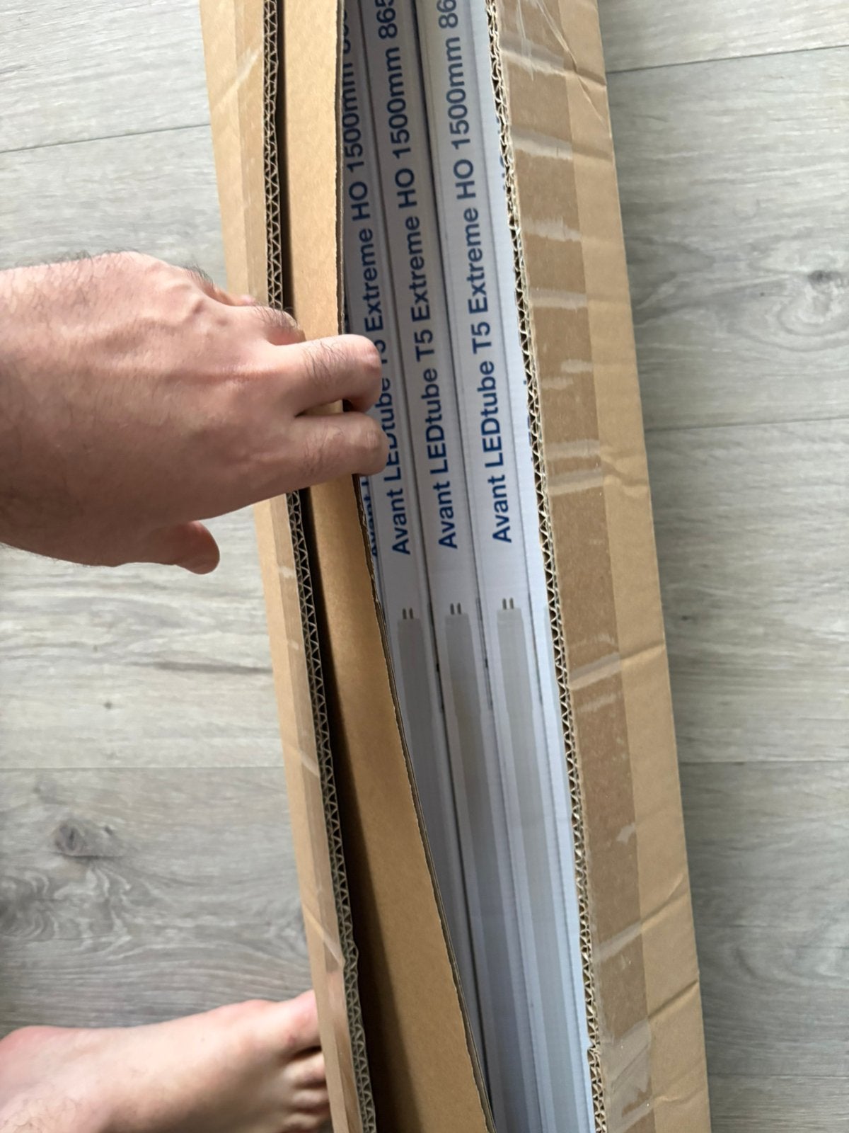 Noxion Avant LEDtube T5 Extreme HO (30 stuks) – Nieuw!, Ophalen, 30 cm of meer, 50 tot 150 cm, Zo goed als nieuw