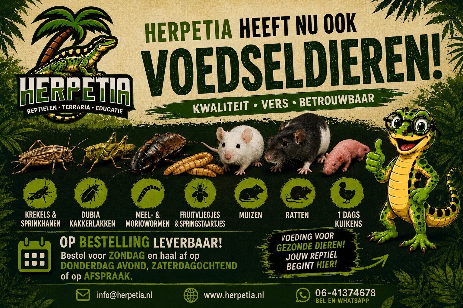 Voedseldieren voor reptielen, Dieren en Toebehoren, Ophalen, Nieuw, Overige typen