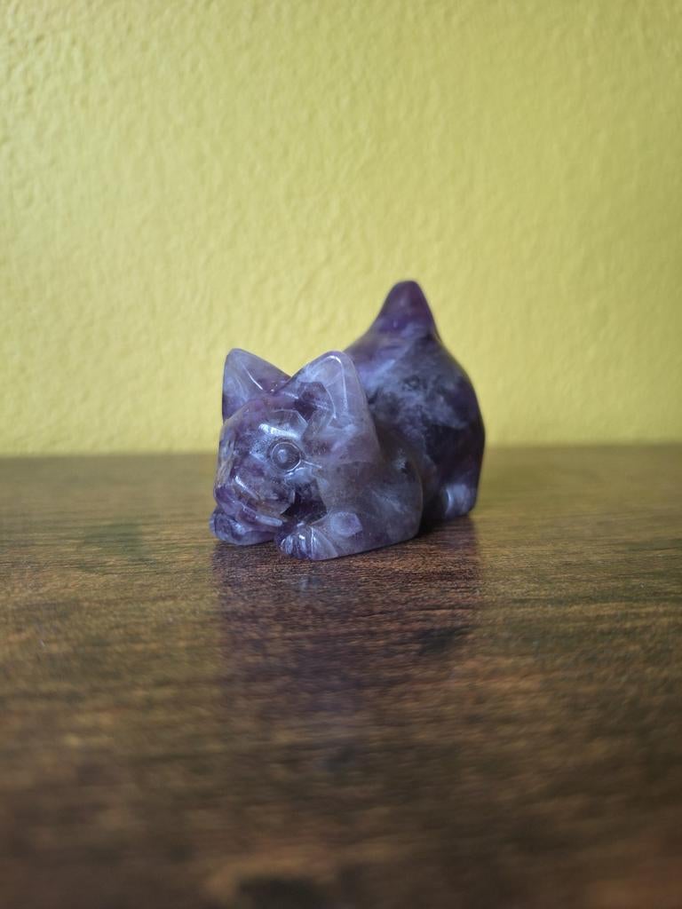 Kat chevron, Verzamelen, Mineralen en Fossielen, Verzenden