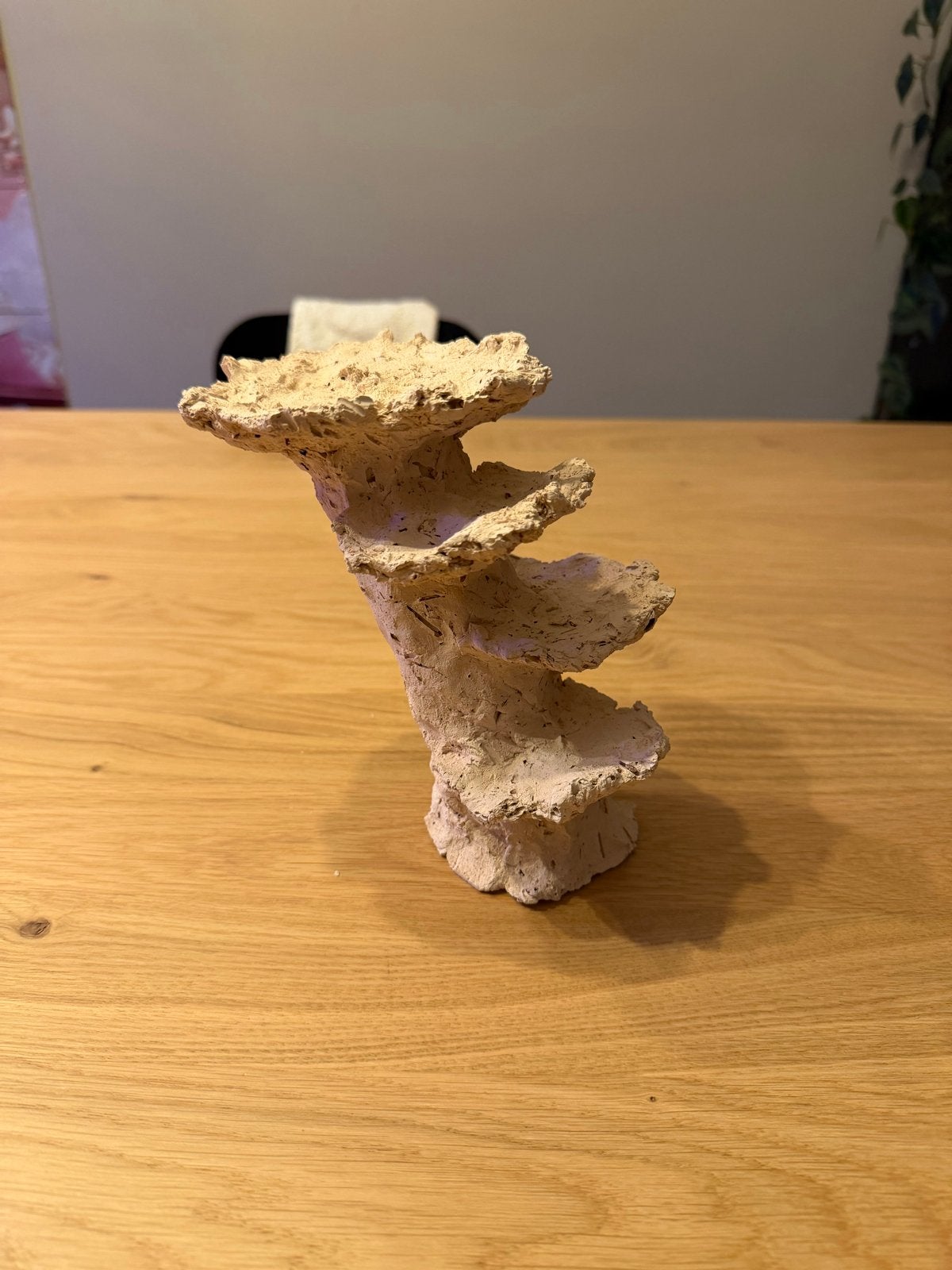 Te koop: reef ceramics, Ophalen of Verzenden, Nieuw, Decoratie