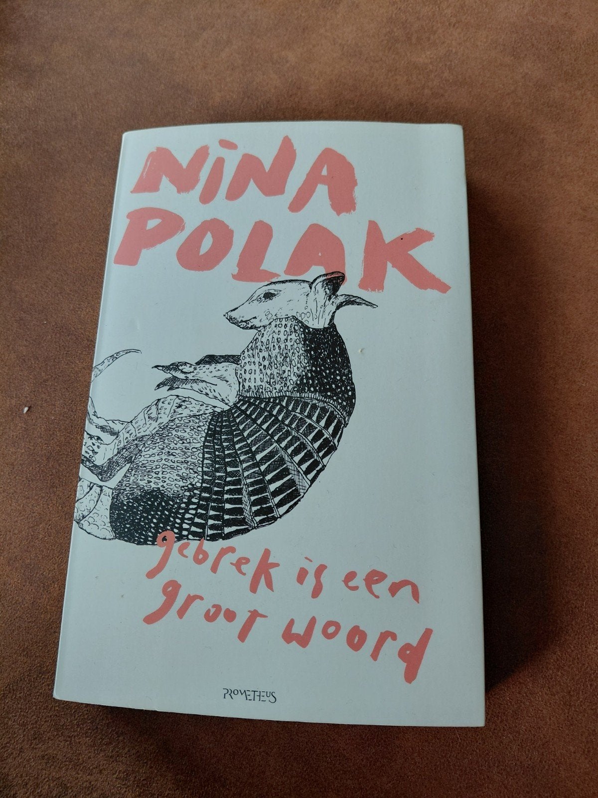 Nina Polak - Gebrek is een groot woord, Boeken, Ophalen of Verzenden, Zo goed als nieuw, Nina Polak