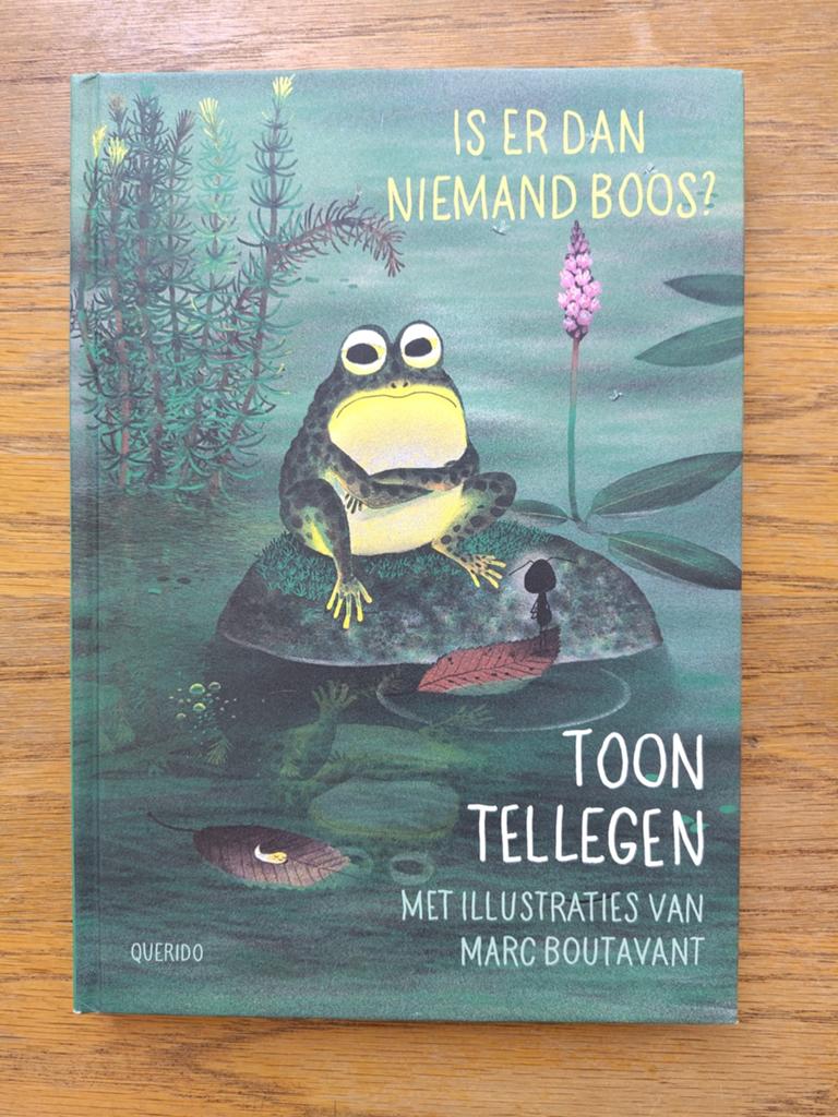 Is er dan niemand boos? - Toon Tellegen, Ophalen of Verzenden, Zo goed als nieuw, Toon Tellegen, Fictie algemeen
