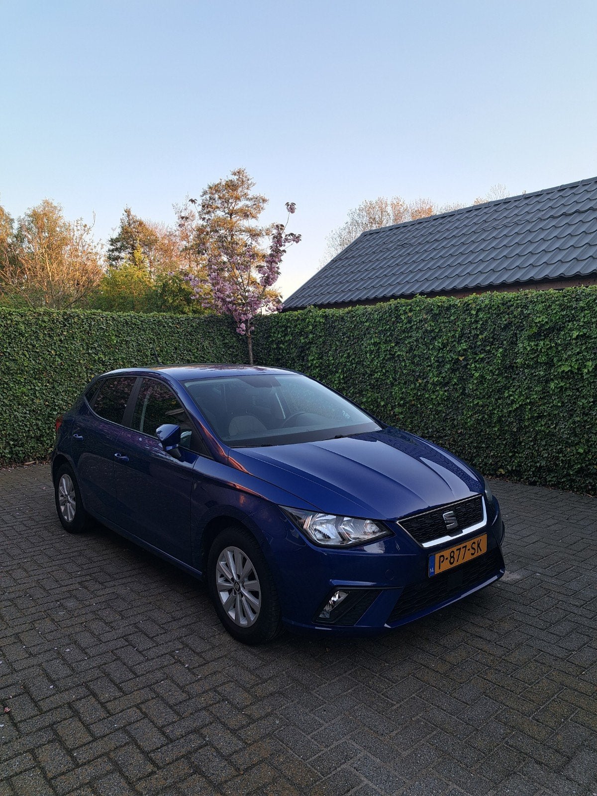 Seat Ibiza 1.0 Ecotsi 95pk 2019 Blauw, Voorwielaandrijving, Stof, 40 €/maand, 95 pk