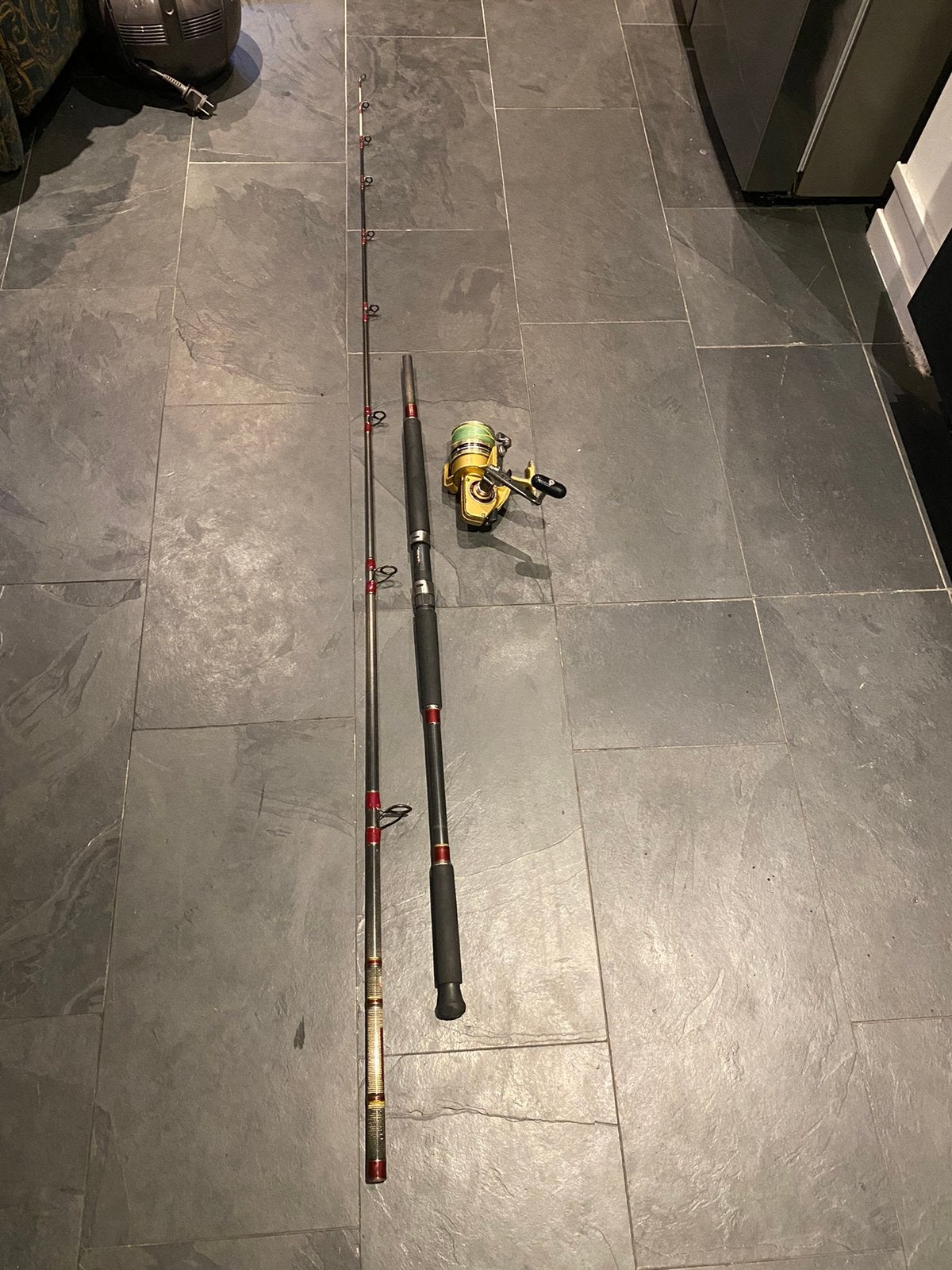 Abu garcia zeehengel met daiwa molen gold gs-9m carbon karpe, Ophalen of Verzenden, Zo goed als nieuw