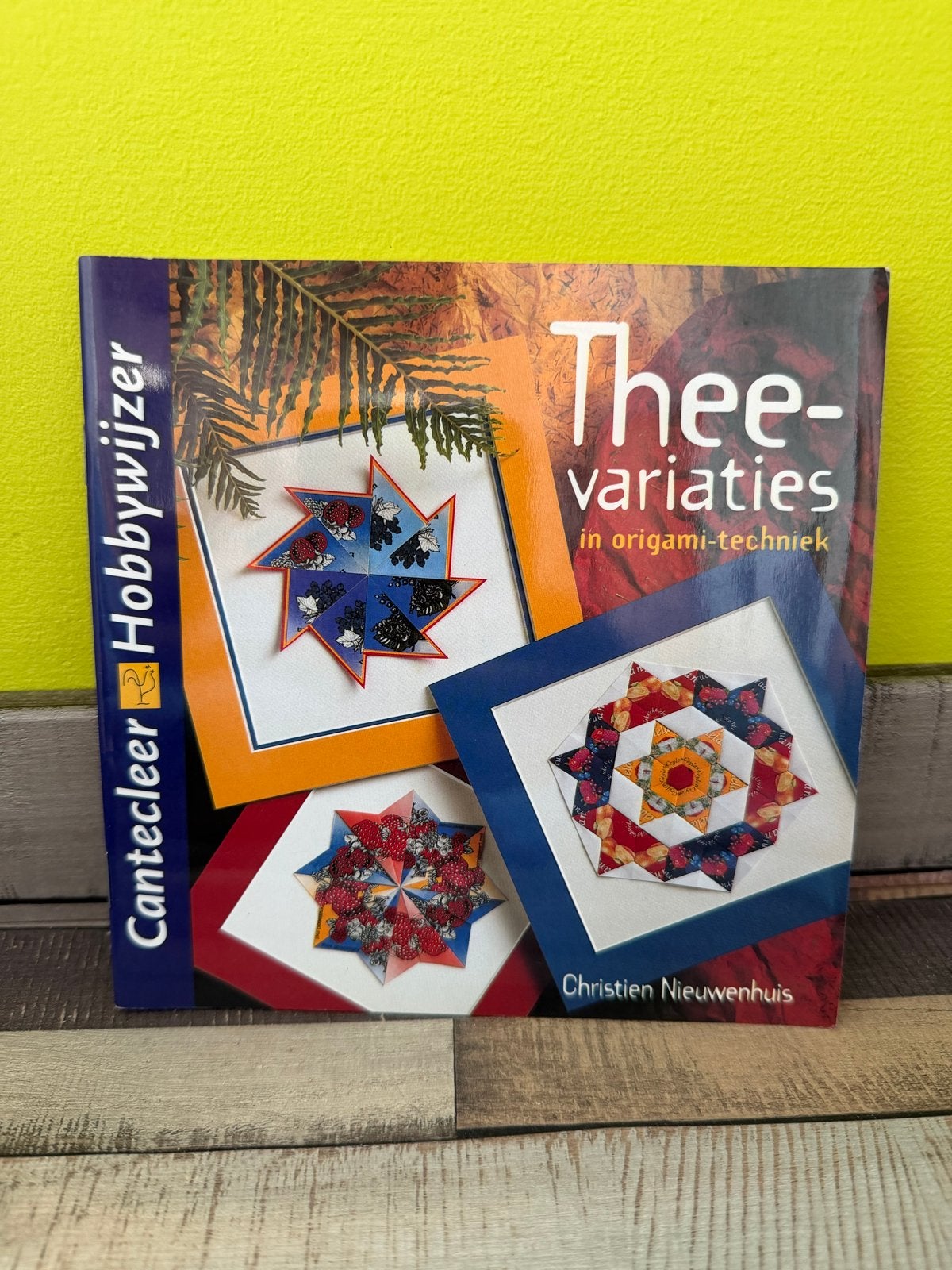 Thee-variaties in origami-techniek, Ophalen of Verzenden, Zo goed als nieuw, Scrapbooking en Knutselen, Geschikt voor kinderen