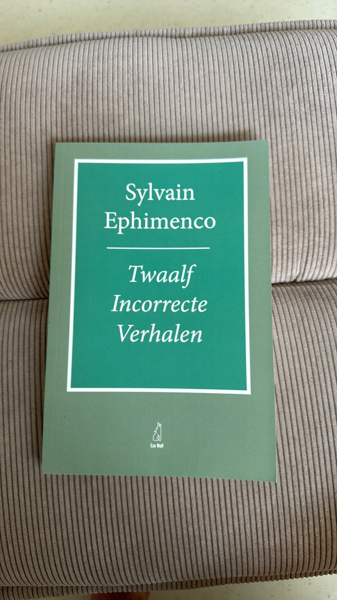 Sylvain Ephimenco - Twaalf Incorrecte Verhalen, Ophalen of Verzenden, Nieuw, Sylvain Ephimenco