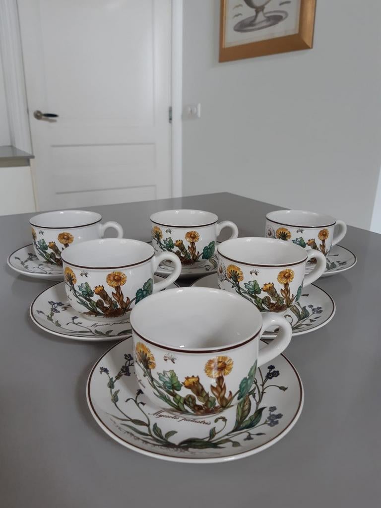 6 theekoppen met schotels Villeroy en Boch Botanica, Huis en Inrichting, Keuken | Servies, Ophalen of Verzenden, Porselein, Overige stijlen