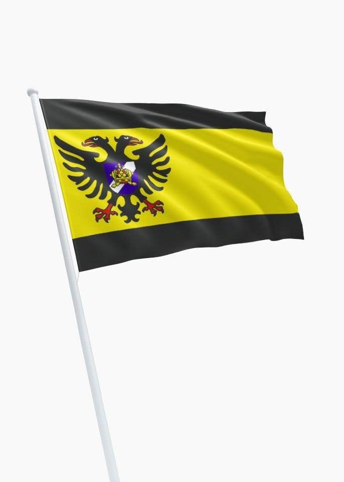 Bolswarder vlag gevelvlag 100x150 cm, Ophalen of Verzenden, Nieuw