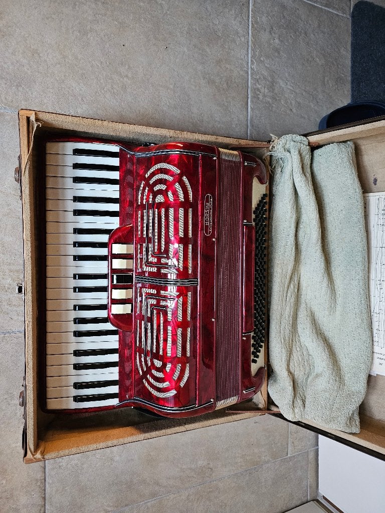 Accordeon borsini castelfidardo italia, Gebruikt, Met koffer, 120-bas, Ophalen