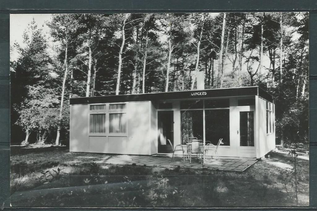 Uddel PTT Noord Reizen Wingerd Foto-Ansichtkaart f-145a jdu, Verzamelen, Ansichtkaarten | Nederland, Ophalen of Verzenden, 1940 tot 1960