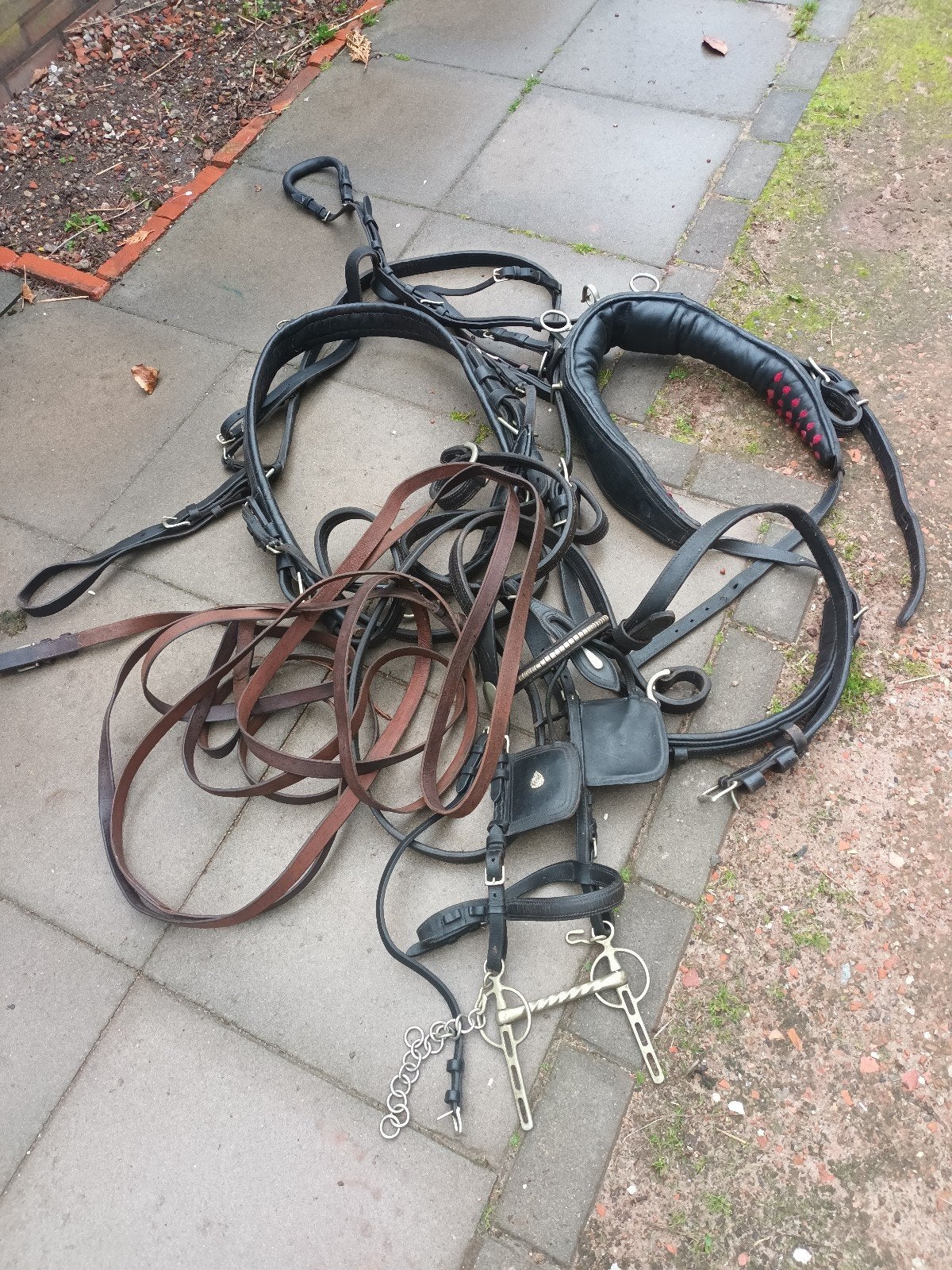 te koop, Ophalen, Cob