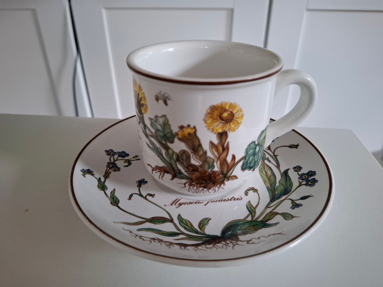 Villeroy & Boch Botanica kop met schotel, Villeroy & Boch, Vintage, Ophalen of Verzenden, Zo goed als nieuw