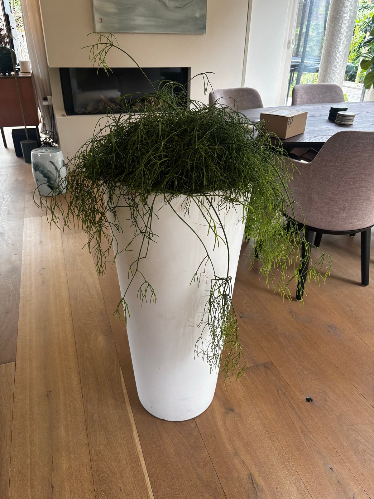 Hoge witte kunststof pot, Kunststof, Binnen, Overige vormen, 70 cm of meer