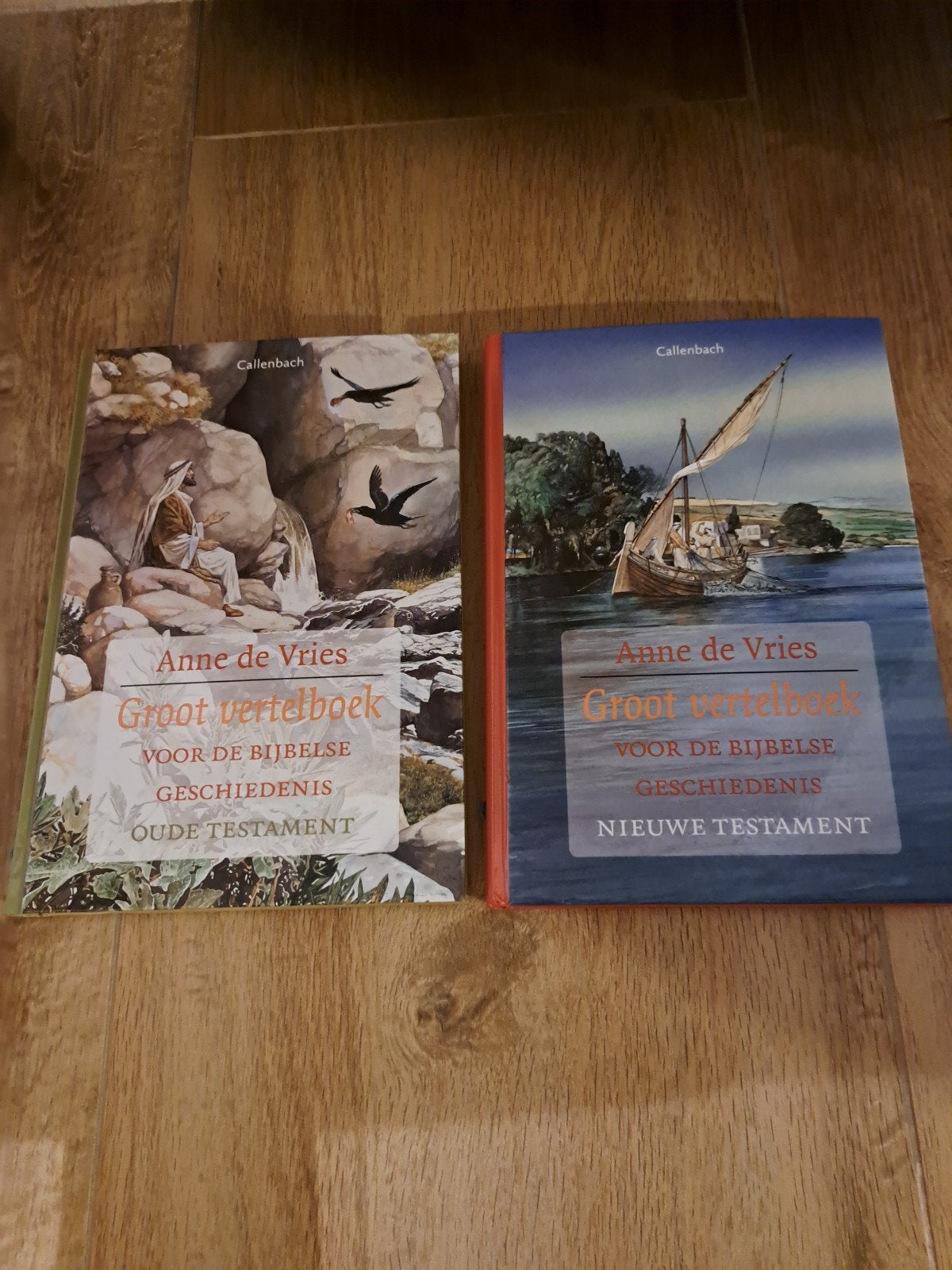 Groot Vertelboek Bijbelse Geschiedenis OT & N Testamen, Boeken, Ophalen of Verzenden, Zo goed als nieuw, Anne de Vries, Christendom | Katholiek