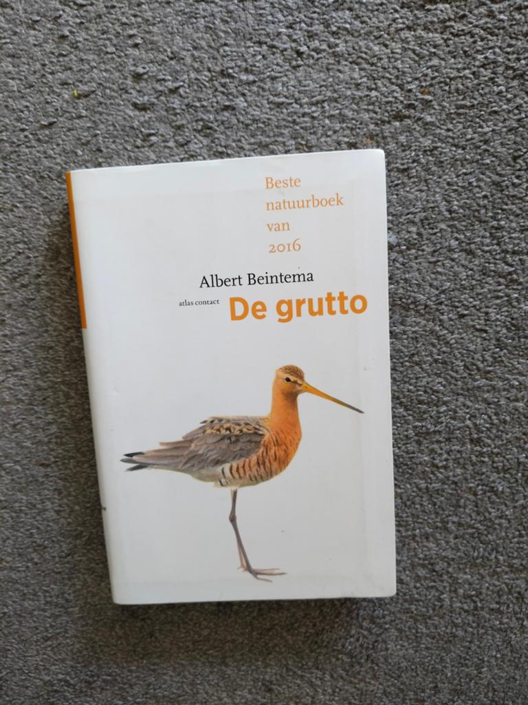 De Grutto - Albert Beintema, Ophalen of Verzenden, Zo goed als nieuw, Vogels, Albert Beintema