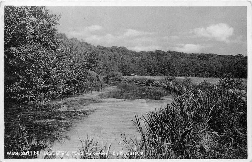 380-898-007 Bussum Oud Valkeveen, Verzenden, Voor 1920, Noord-Holland
