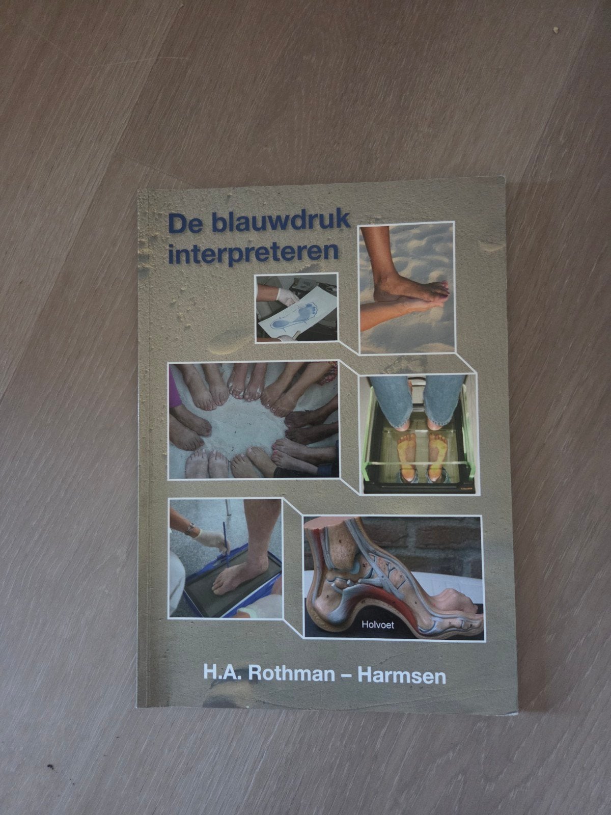 H.A. Rothman-Harmsen - De blauwdruk interpreteren, Ophalen of Verzenden, Zo goed als nieuw, H.A. Rothman-Harmsen, Nederlands