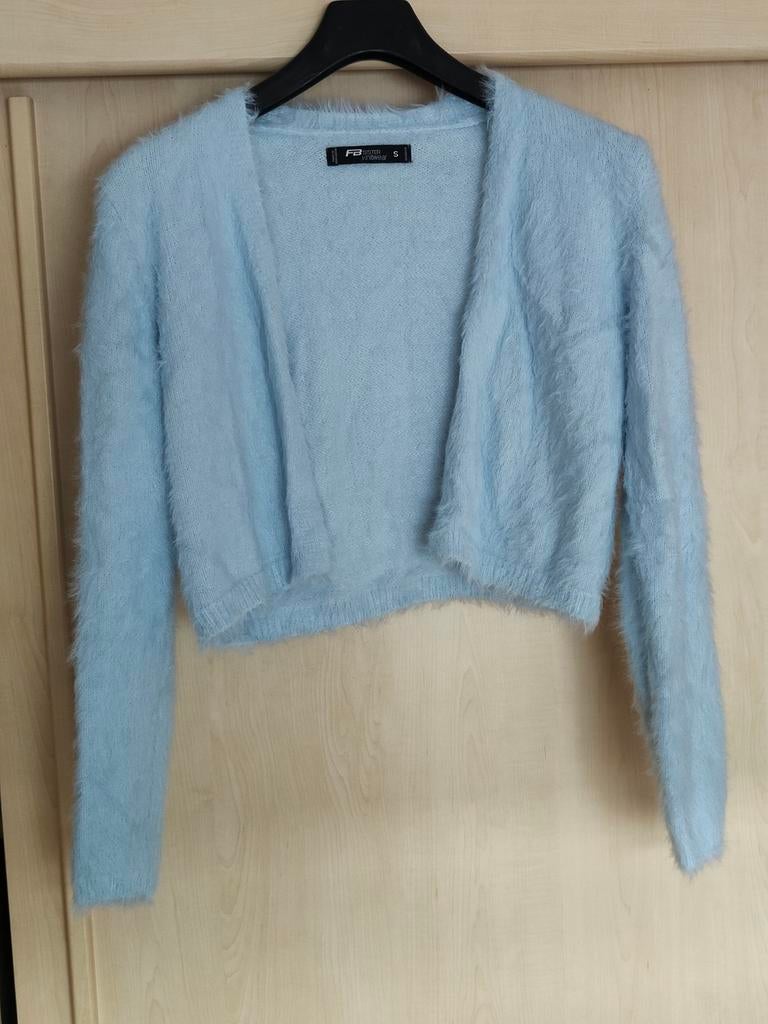 Zacht lichtblauw kort vestje Fb Sister New Yorker maat S, Kleding | Dames, Truien en Vesten, Blauw, Ophalen of Verzenden, Fb Sister