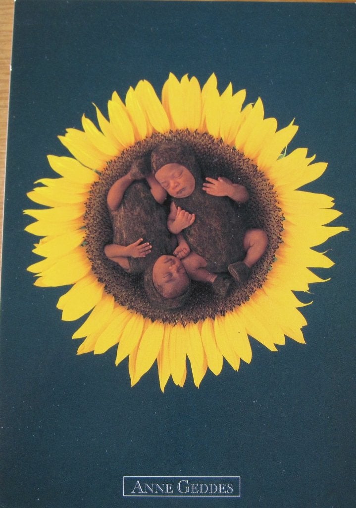 Anne Geddes nr. A214 - Sunflower twins - 1999 - nieuw, Verzenden, 1980 tot heden, Ongelopen, Kinderen