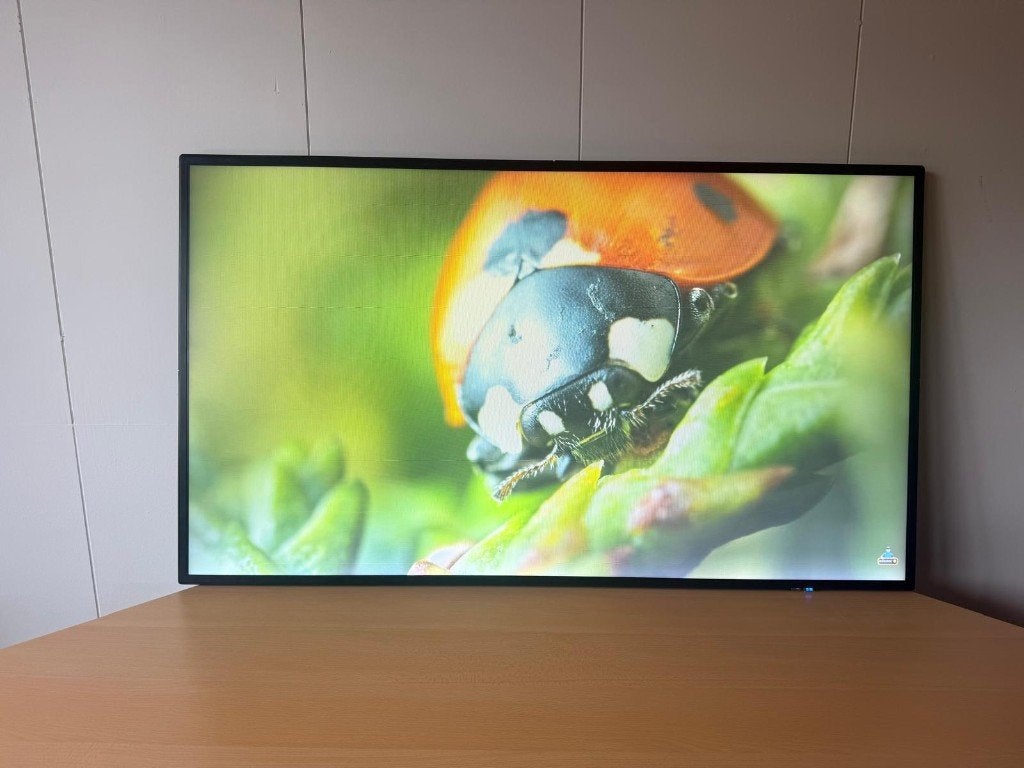 NEC MultiSync V484 48" Digital Signage Display | Full HD, Ophalen, Gebruikt, Ingebouwde speakers, IPS