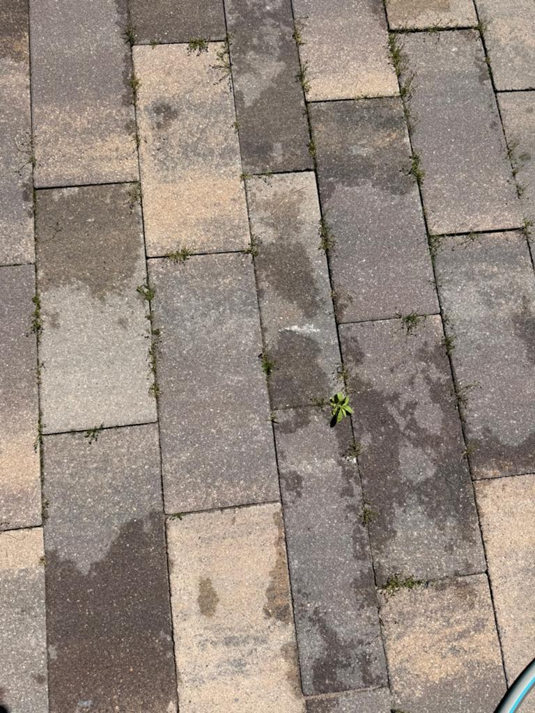 GRATIS Tegels, Ophalen of Verzenden, Zo goed als nieuw, Beton, Terrastegels