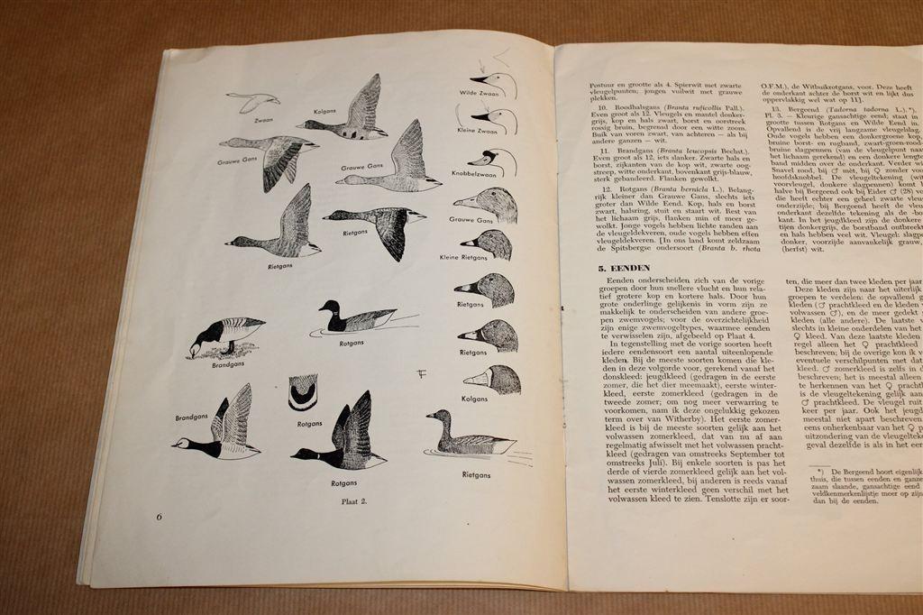 Veldkenmerken Steltlopers, Zwanen & Eenden [1953], Ophalen of Verzenden, Gelezen, Vogels