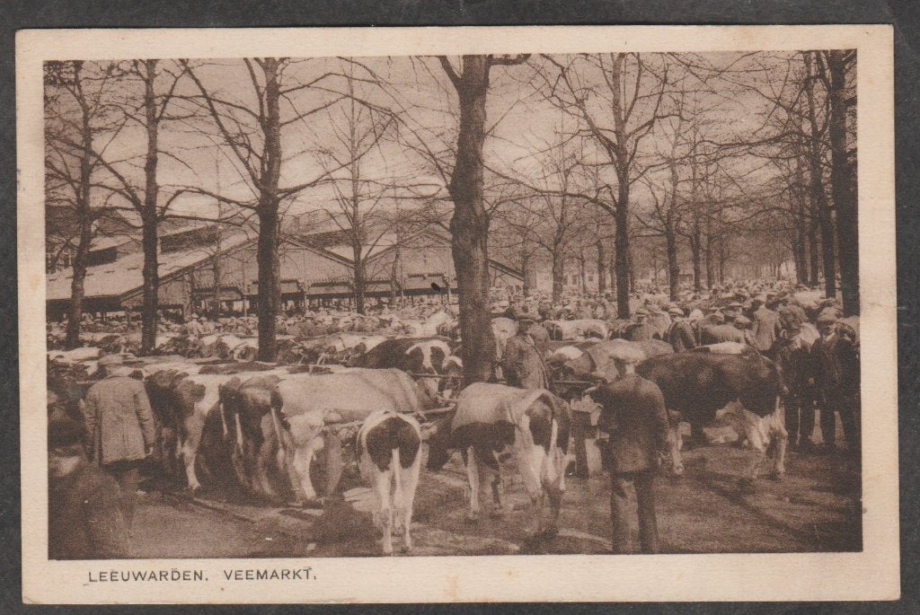 leeuwarden  veemarkt met koeien, Verzenden, 1920 tot 1940, Gelopen, Friesland