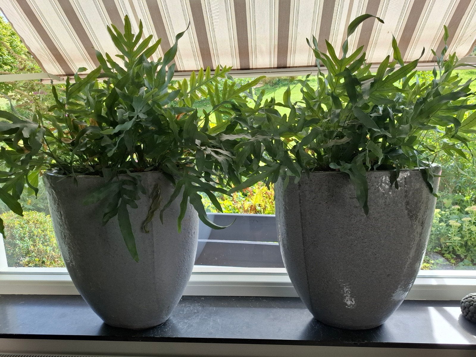 Set van 2 stijlvolle plantenpotten met planten, Huis en Inrichting, Woonaccessoires | Vazen, Ophalen, Gebruikt