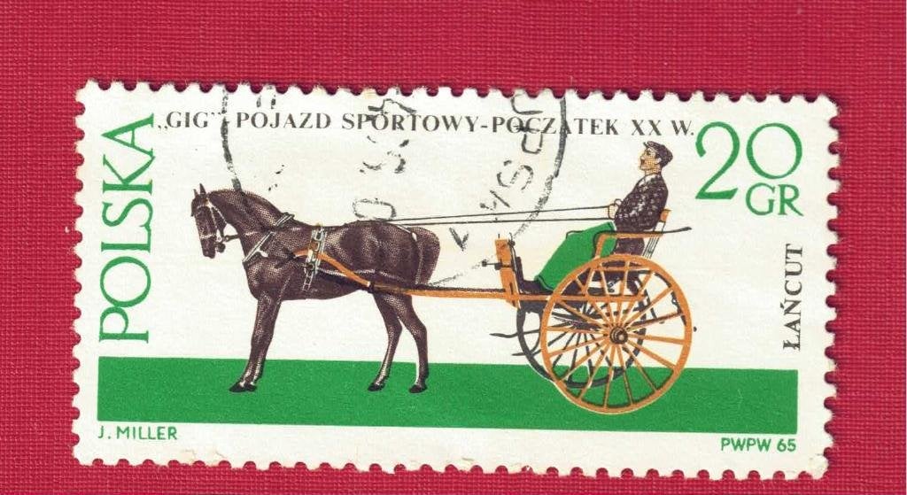 Fauna - Dieren - Polen - Paard met aanspanning, Ophalen of Verzenden, Gestempeld, Dier of Natuur