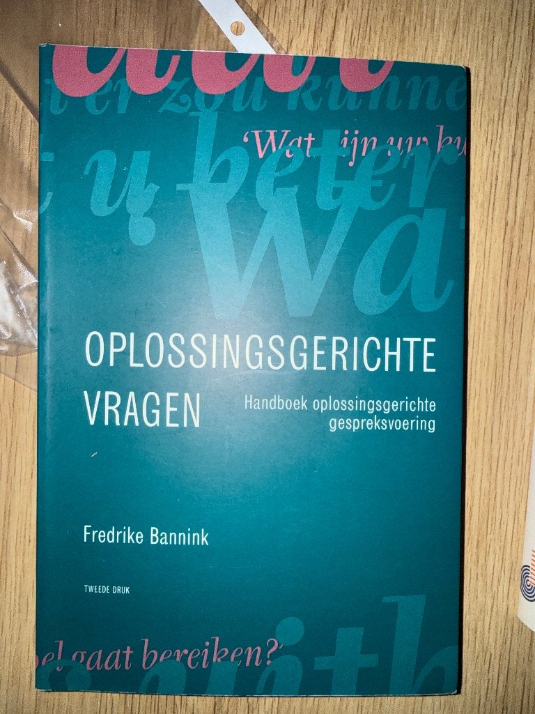 Oplossingsgerichte vragen, Ophalen of Verzenden, Zo goed als nieuw, Frederike Bannink