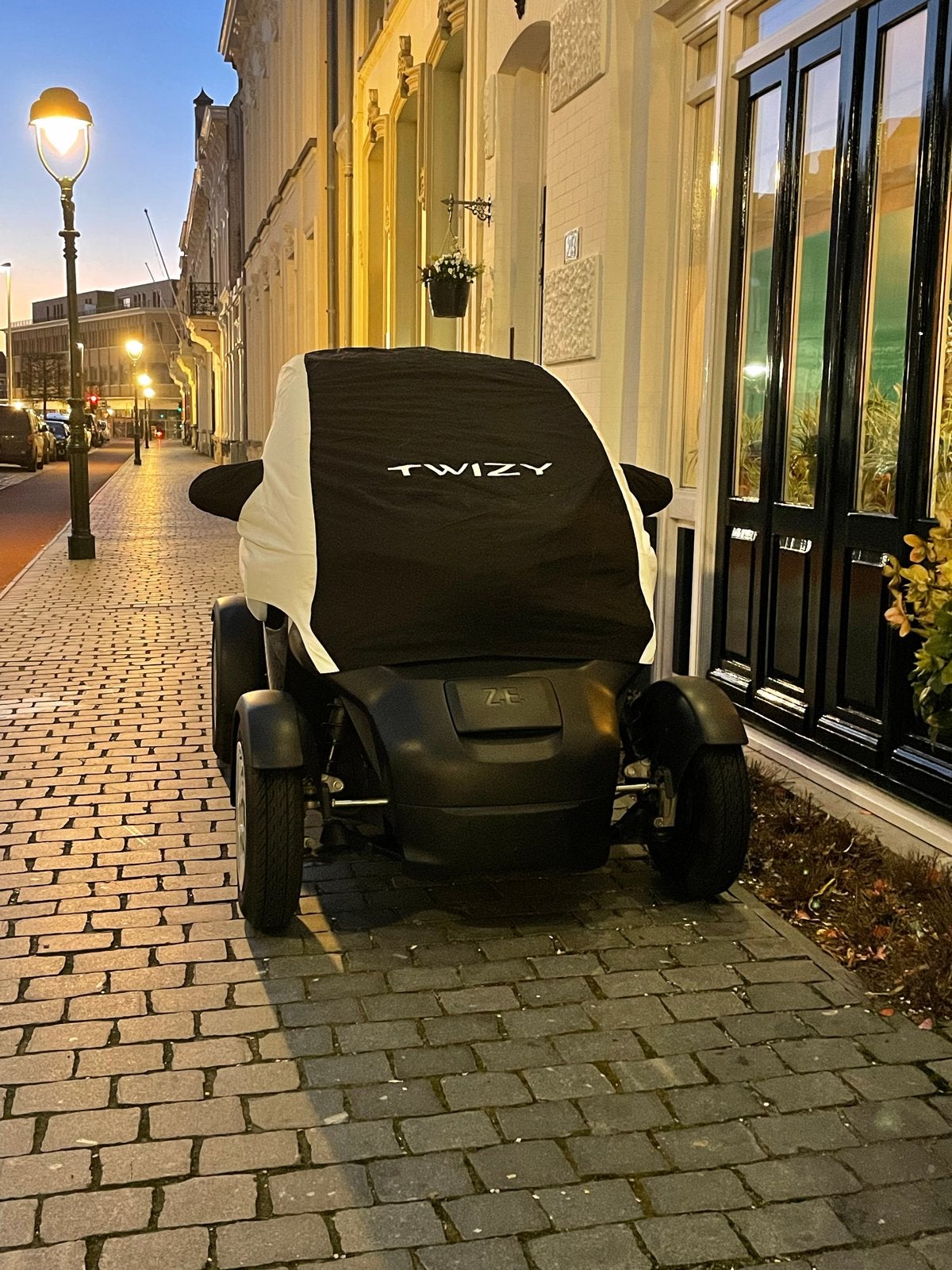 Renault Twizy Hoes - Origineel!, Ophalen of Verzenden, Gebruikt, Op maat
