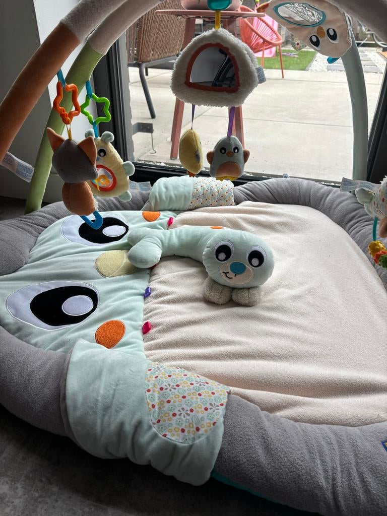 Playgro babygym met draagtas, Ophalen, Zo goed als nieuw, Babygym