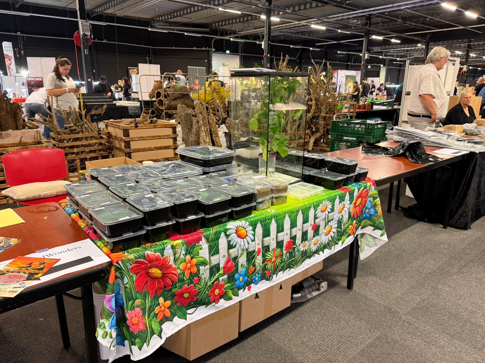 10 okt insectenbeurs nieuwegein Wandelend blad 10-16uur, Wandelende tak