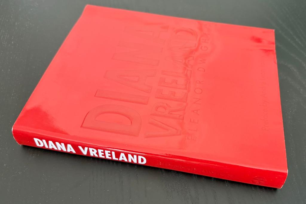 Diana Vreeland Vogue boek Eleanor Dwight, Boeken, Mode, Ophalen of Verzenden, Zo goed als nieuw, Mode algemeen