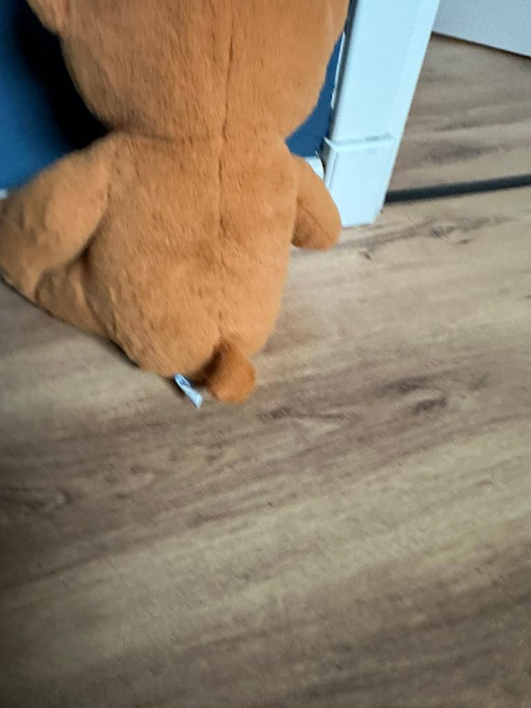 Bruine beer, Ophalen of Verzenden, Zo goed als nieuw, Beer