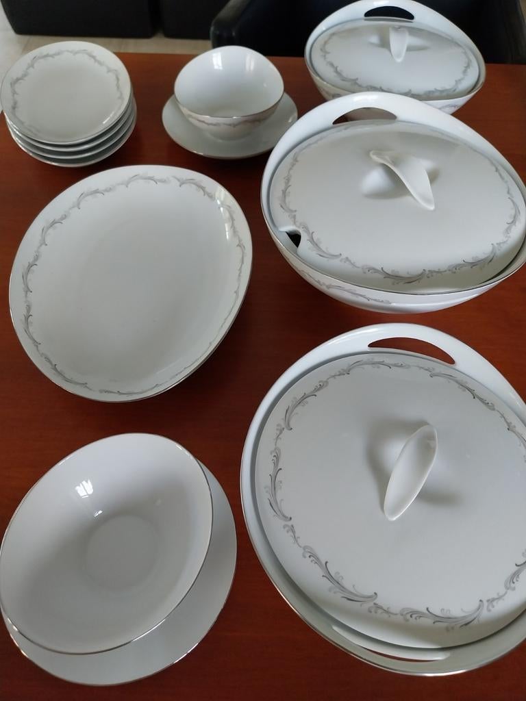 Eschenbach Servies, Huis en Inrichting, Keuken | Servies, Ophalen, Zo goed als nieuw, Overige stijlen, Porselein