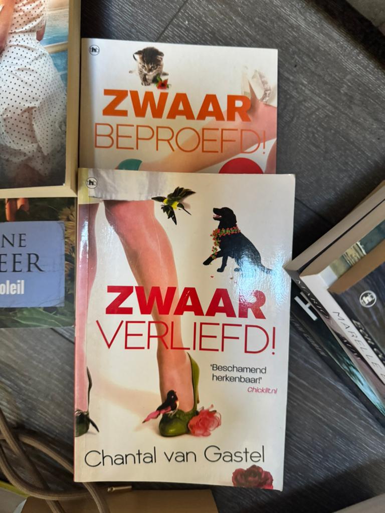 Chantal van Gastel - Zwaar Beproefd! & Zwaar Verliefd! (2 bo, Boeken, Ophalen, Gelezen