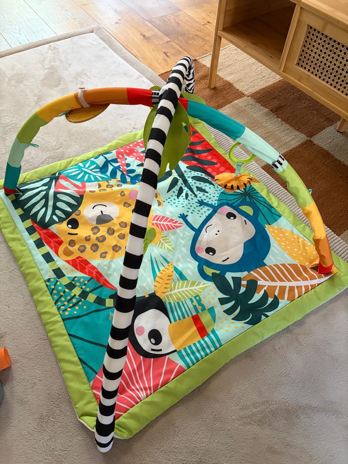 Fisher-Price 3-In-1 Regenwoud Babygym, Ophalen, Gebruikt