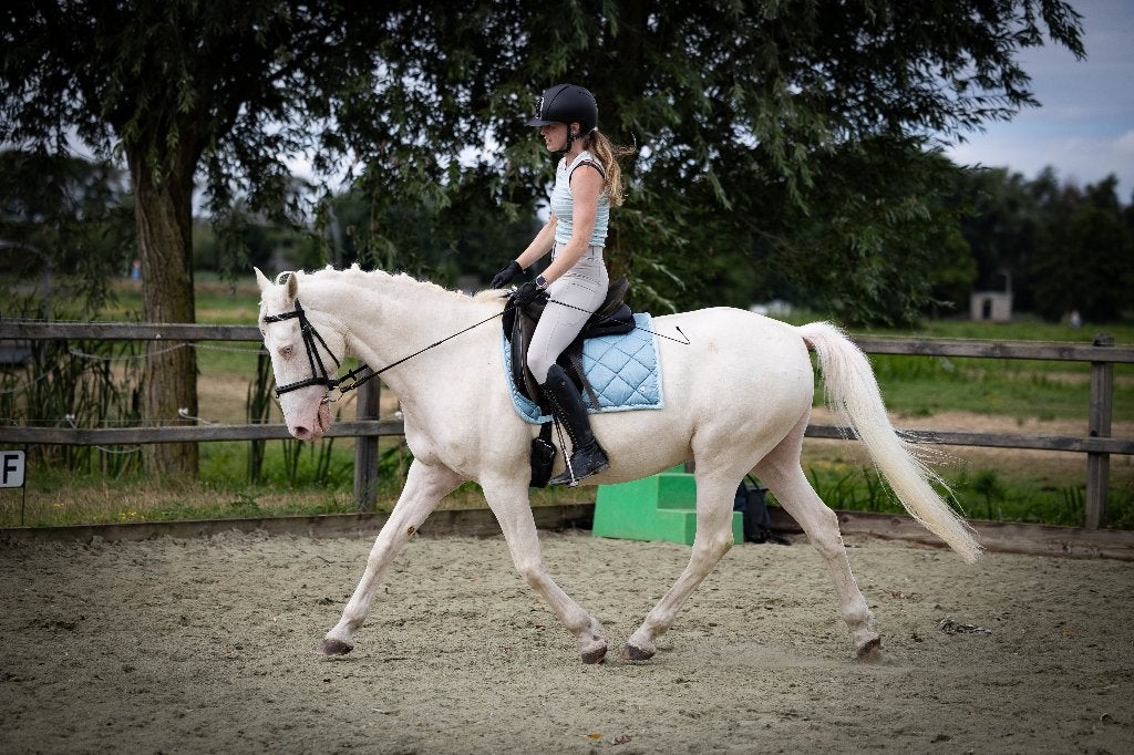 Mooie en superbrave Cremello ruin, Dieren en Toebehoren, Pony's, E pony (1.48m - 1.57m), Ruin, 11 jaar of ouder, Recreatiepony