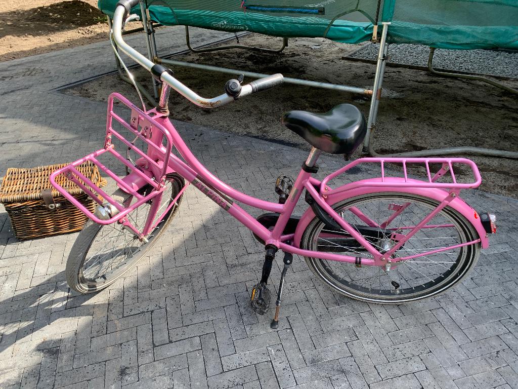 Alpina Cargo meisjesfiets 22 inch met mand, Ophalen, Terugtraprem, 22 inch, Gebruikt