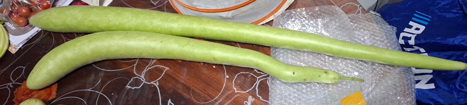 Biologisch Lauki, Ophalen of Verzenden, Volle zon