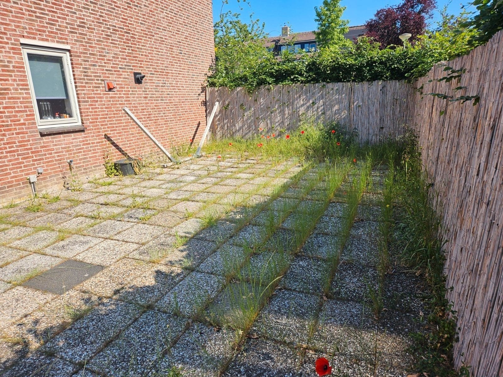 Tuin/terras schoonmaken, Ophalen