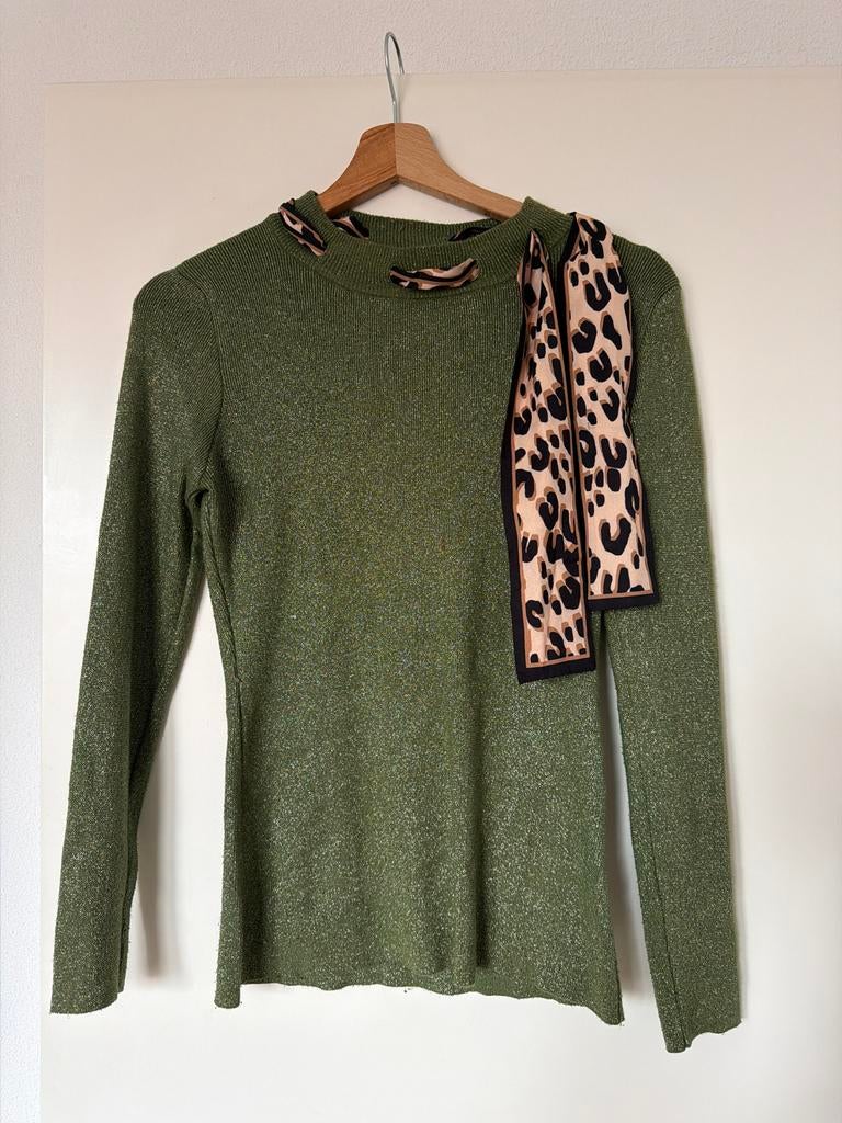 Groene trui met sjaal van Millenium, Kleding | Dames, Truien en Vesten, Ophalen, Gedragen, Maat 38/40 (M), Groen