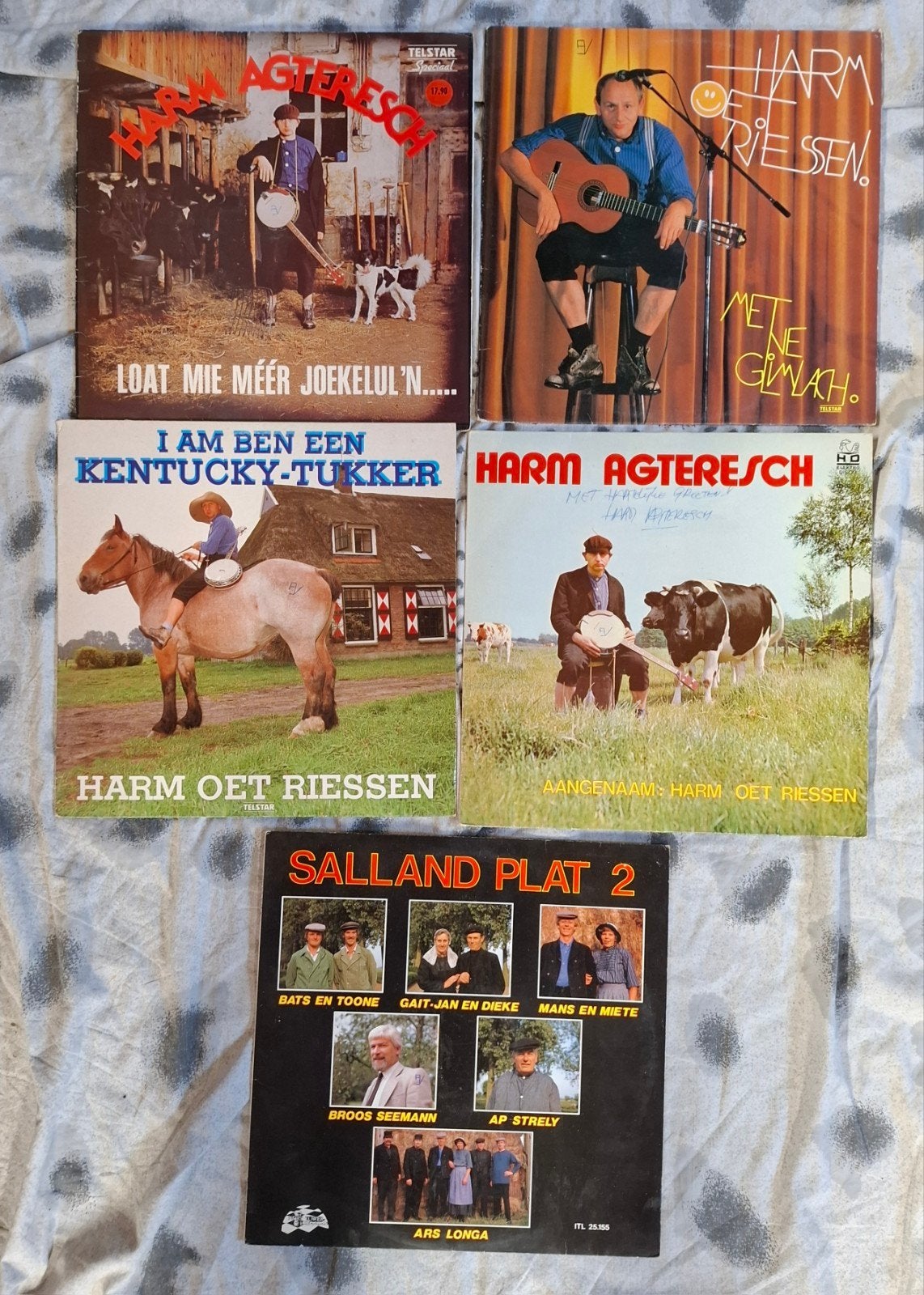 4 x LP van. Harm Agteresch / Harm Oet Riessen, Cd's en Dvd's, LP, Gebruikt, Ophalen of Verzenden, 12 inch